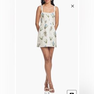 NWT- Sachin & Babi Kelsey Floral Jacquard Minidress, Pearl Panicle, size 12